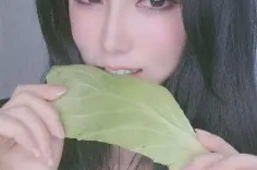 本周看啥|《小森林》《请君》首播《罚罪》热度破万 本周看啥|《小森林》《请君》首播《罚罪》热度破万